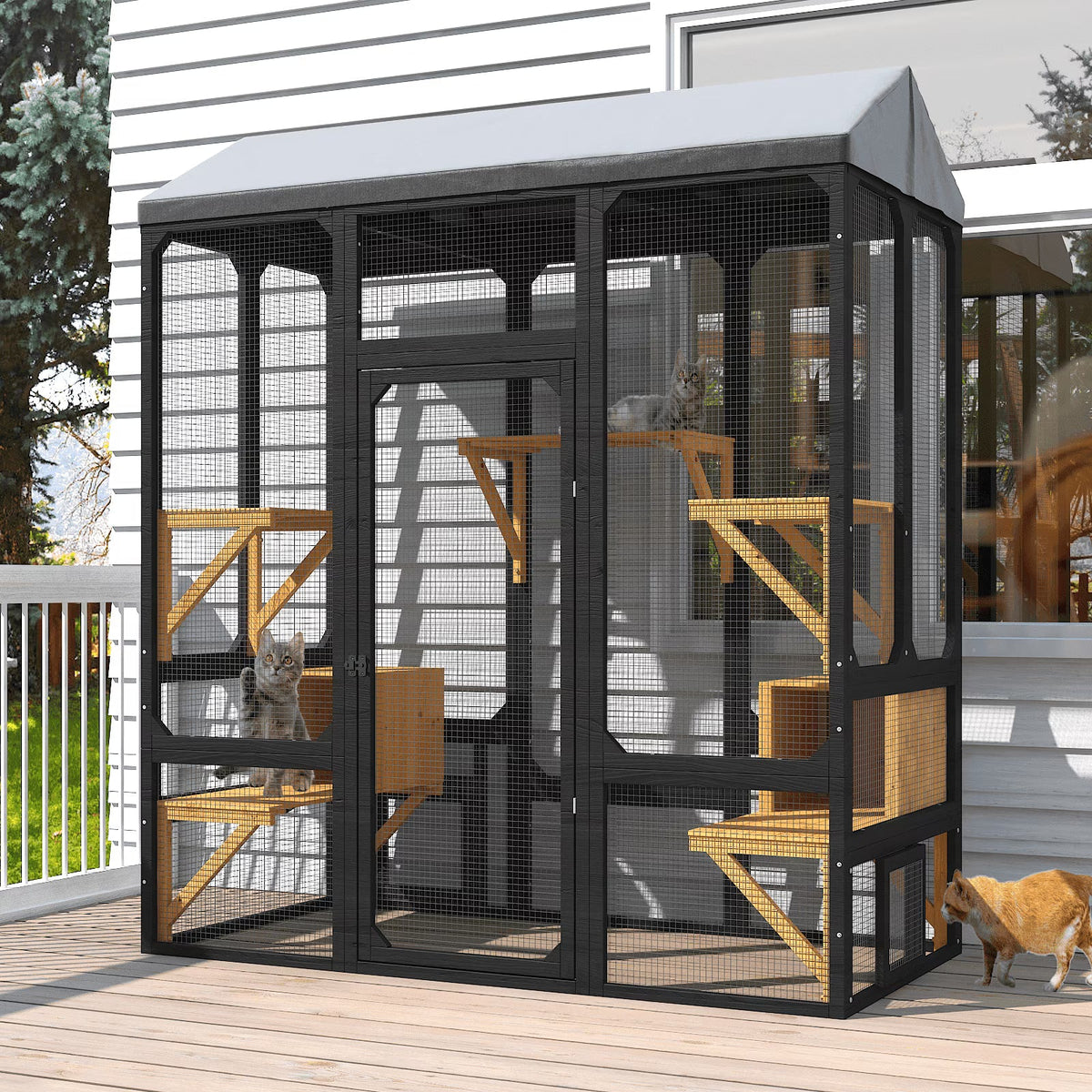 Outdoor Catios