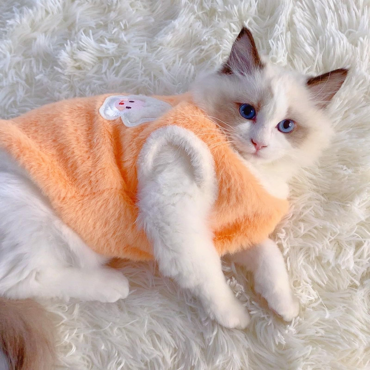 Cute Cat Outfits