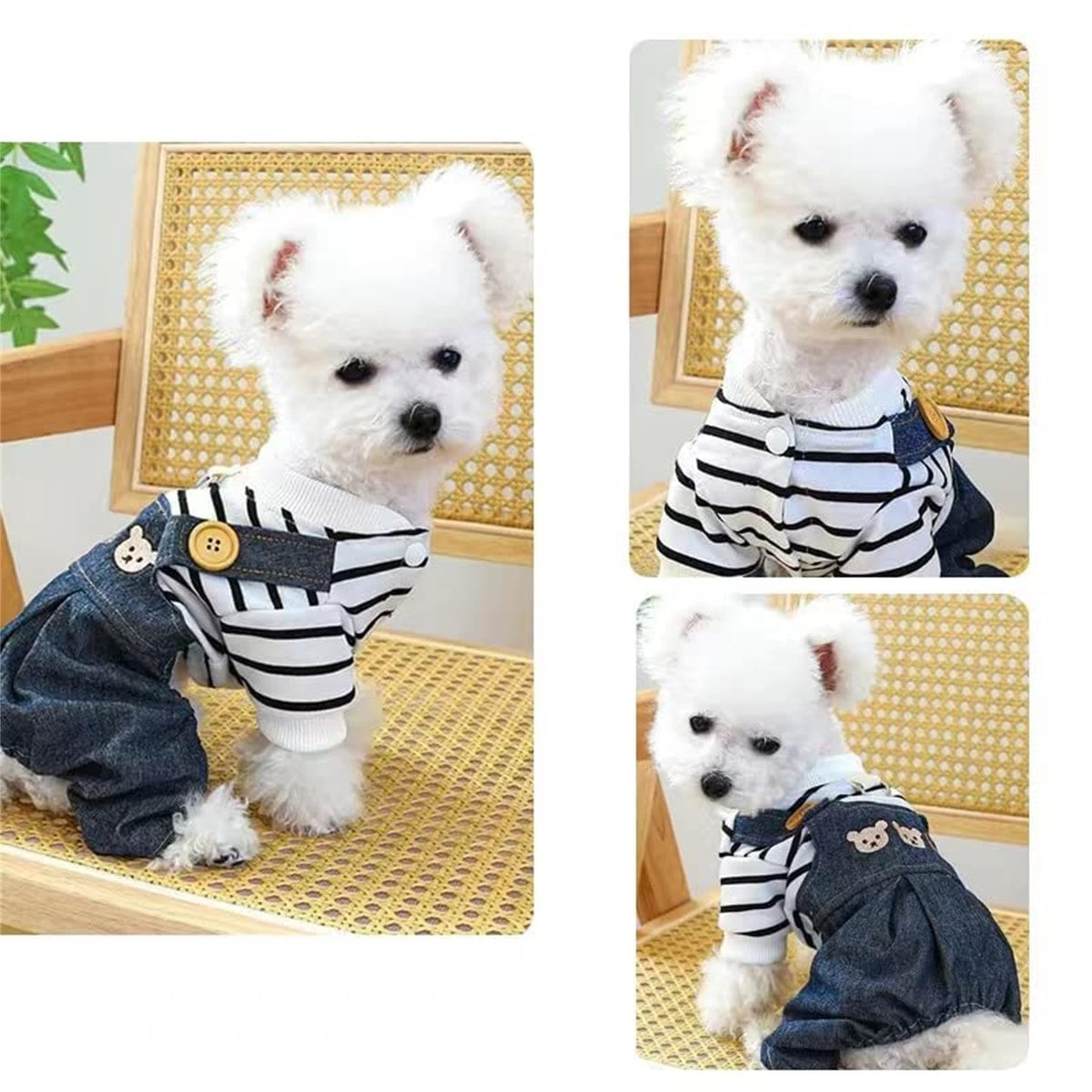 Dog Clothes