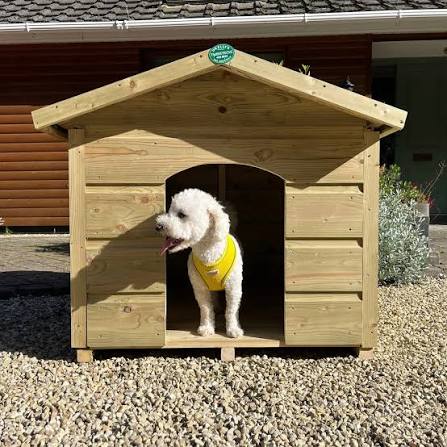 Outdoor Dog Homes