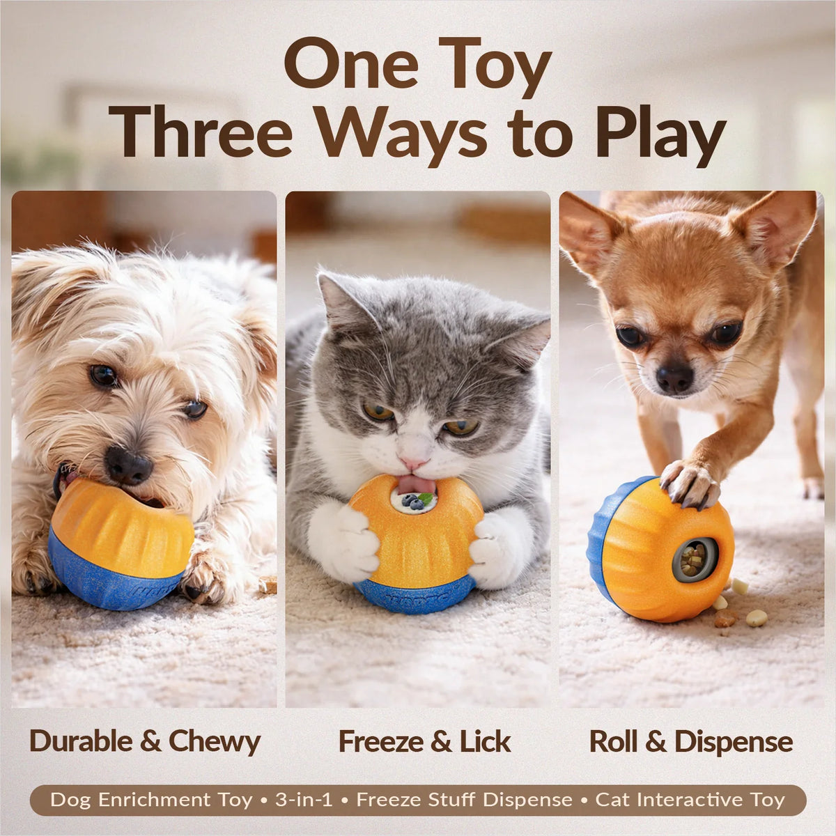 Enrichment Items