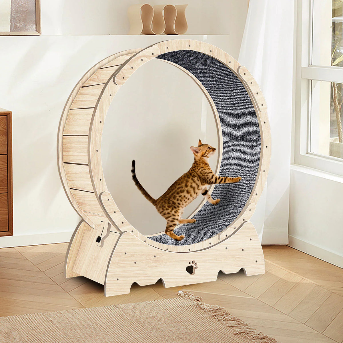 Cat Training Toys