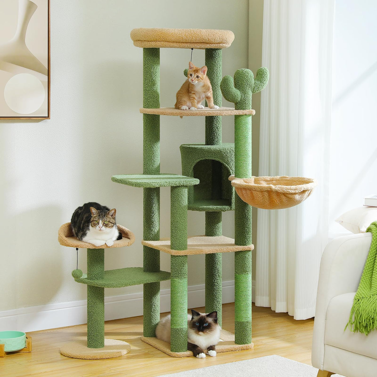 Free Standing Cat Trees