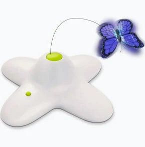 Interactive Cat Toys