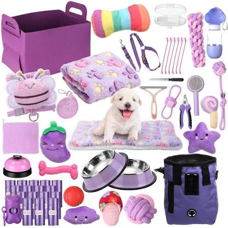 Pet Accessories