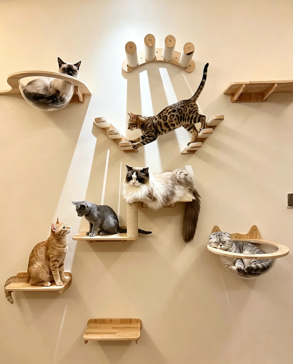 Cat Wall Climbing Shelves Steps and Hammock Bed Tree Tower Space Saving Wall Furniture for Pets Playing Resting Stable Structure