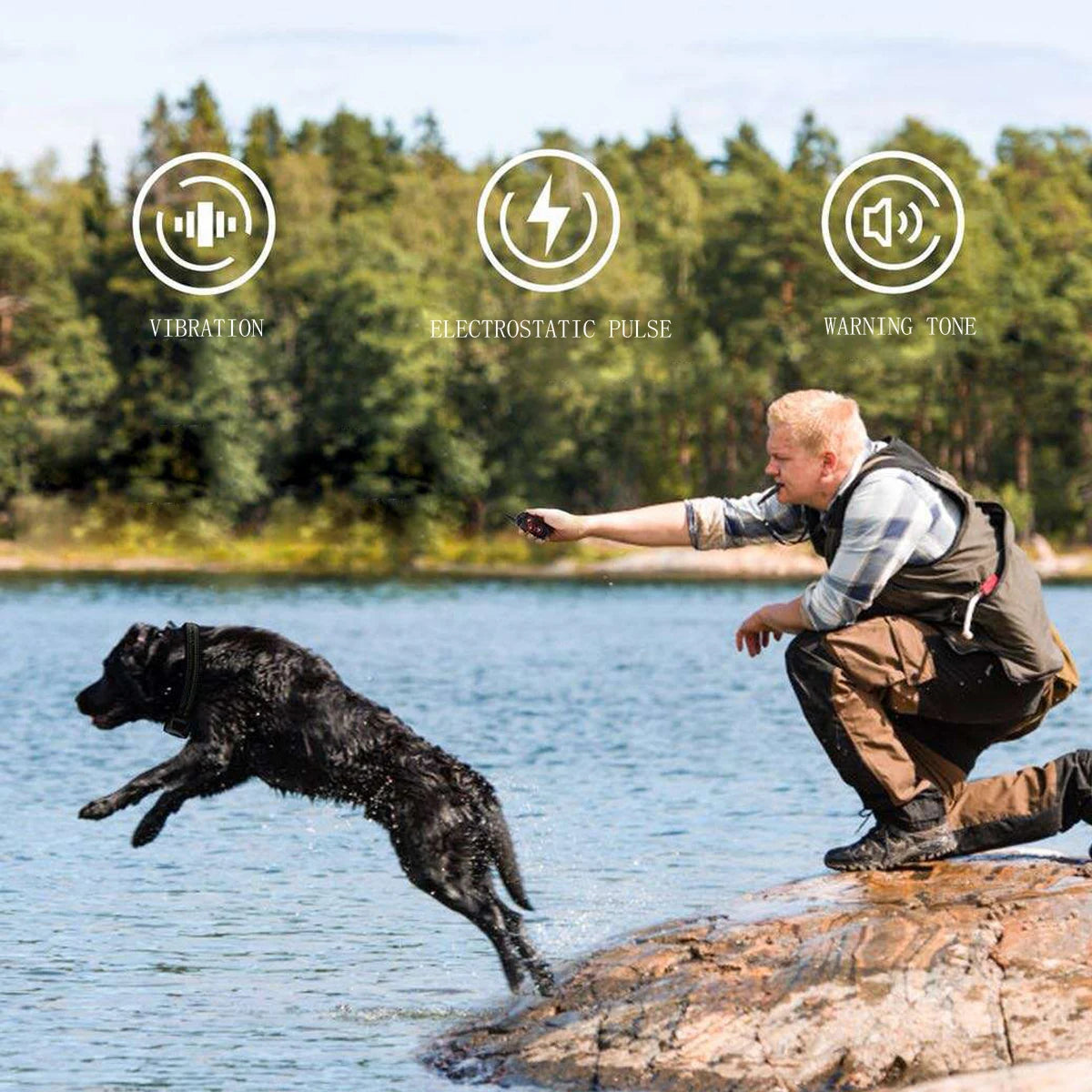 New 1PC Remote Control Dog Training Device/Automatic Bark Stopper Collar Pet Training Waterproof Pet Dog Collar