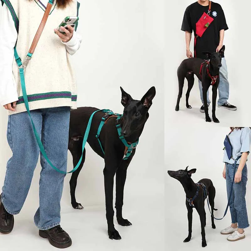 Mysudui 5 In 1 Multi-Function Adjustable Dog Lead Hand Free Pet Training Leash Multi-Purpose Dog Leash Walk 2 Dogs