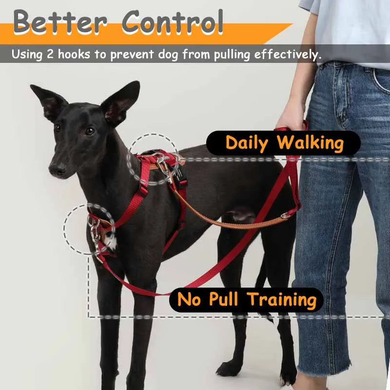 Mysudui 5 In 1 Multi-Function Adjustable Dog Lead Hand Free Pet Training Leash Multi-Purpose Dog Leash Walk 2 Dogs