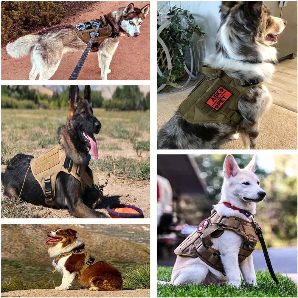 Tactical Military Vest For All Breeds Dogs Retriever Tactical Training Dog Harness Quick Release Vest Pet Training Dog Harness