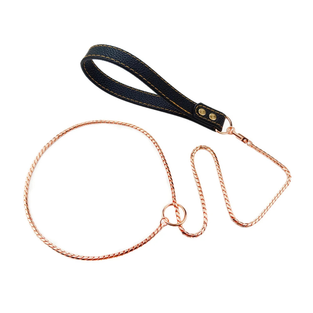 Integrated Dog Slip Chain Collar Leash 304 Stainless Steel Dog Metal Choke Collar Pet Training Leash Show with Leather Handle